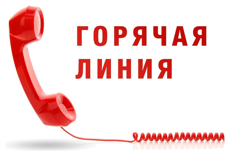 «Горячей линии» по вопросам защиты прав инвалидов. «Горячей линии» по вопросам защиты прав инвалидов.